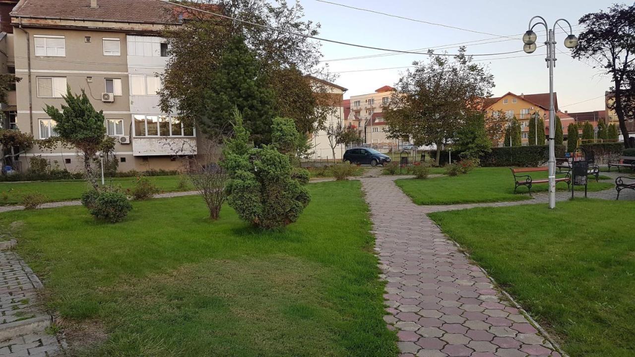 Apartament Ema Băile Felix Exterior photo